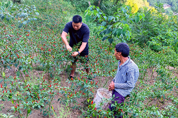 永葆初心 情暖鄉(xiāng)村“鄭”興路——記遵義卷煙廠駐村工作隊(duì)隊(duì)員鄭坤